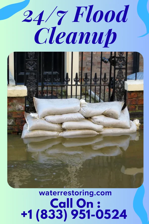 24/7 Flood Cleanup in White Sulphur Springs, WV