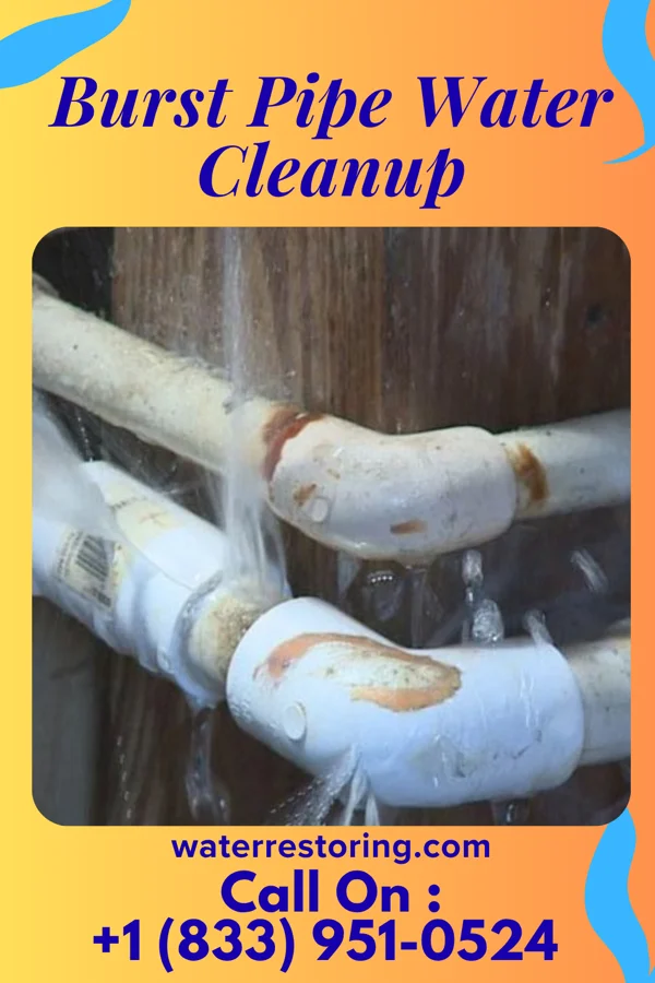 Burst Pipe Water Cleanup in White Sulphur Springs, WV
