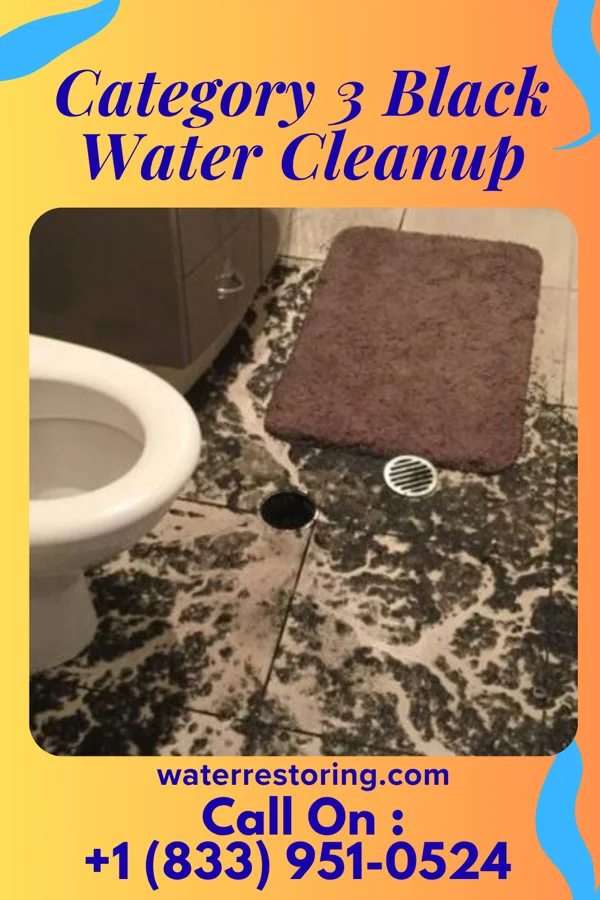 Category 3 Black Water Cleanup in White Sulphur Springs, WV