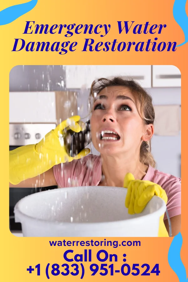 Emergency Water Damage Restoration in White Sulphur Springs, WV