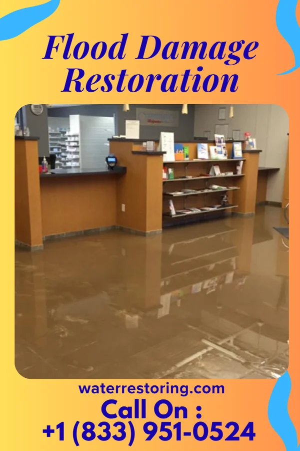 Flood Damage Restoration in White Sulphur Springs, WV