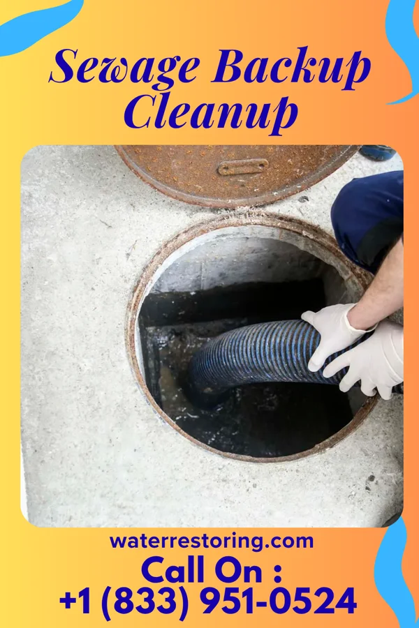 Sewage Backup Cleanup in White Sulphur Springs, WV